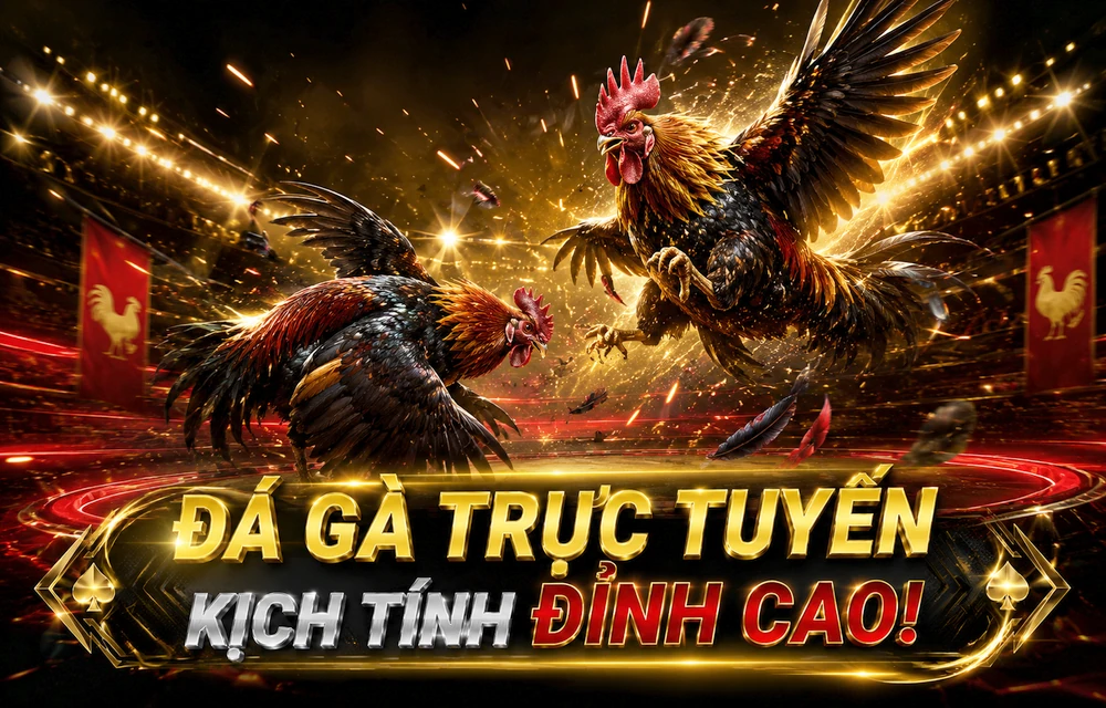 KHUYẾN MÃI AC88: Cách Đọc Điều Kiện Ưu Đãi Trước Khi Nhận